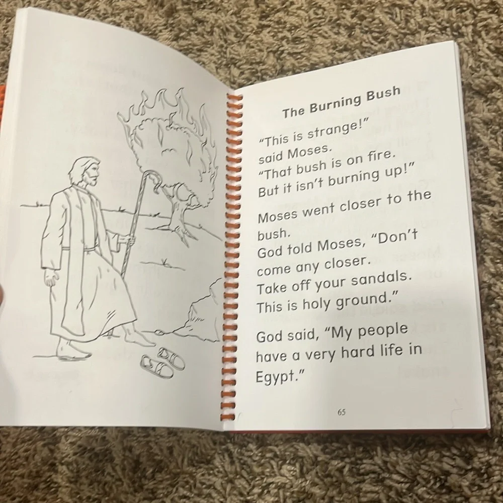 MY FATHER’S WORLD First Grade curriculum 📚 - Picture 4 of 13